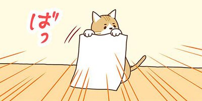 �ͥ��μꡢ�ڤ�Ƥޤ��� 24�ڥե륫�顼��