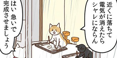 �ͥ��μꡢ�ڤ�Ƥޤ��� 29�ڥե륫�顼��