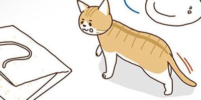 �ͥ��μꡢ�ڤ�Ƥޤ��� 31�ڥե륫�顼��