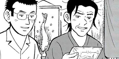 ������� 26