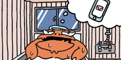 �ƥ������Ĺ ��60�� �饤���ι��������ˤʤäƵ��ˤʤäơڥե륫�顼��