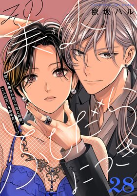 ��������(���ȥ�)�դ�����ˤĤ���comic tint��ʬ���� 28��