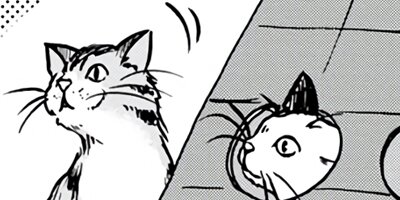 ���Υܥ���ǭ�� 25