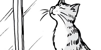 ���Υܥ���ǭ�� 81