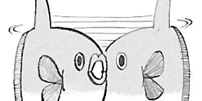 ���ͥ��ǹͤ������ 13