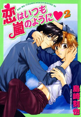 恋はいつも嵐のように2