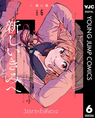 ���������ߤ� ʬ���� 6