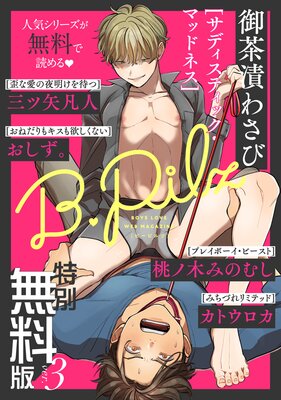 ������̵���ǡ�B.Pilz ver.3