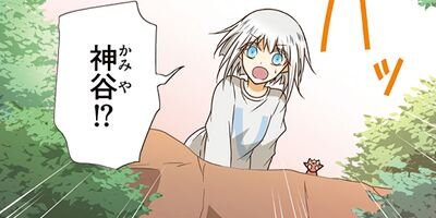 �ߥ���λ����� 217�ڥե륫�顼��