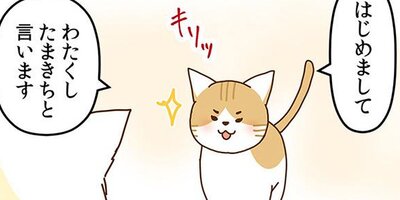 �ͥ��μꡢ�ڤ�Ƥޤ��� 46�ڥե륫�顼��