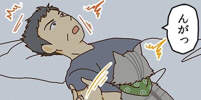 �ͥ��μꡢ�ڤ�Ƥޤ��� 47�ڥե륫�顼��