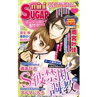 miniSUGAR Vol.26(2013年5月号)