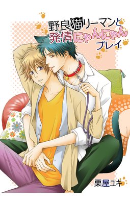 ����ǭ�꡼�ޥ��ȯ��ˤ��ˤ��ץ쥤��ɽ��