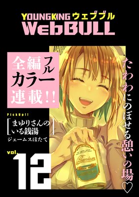 Web BULL12