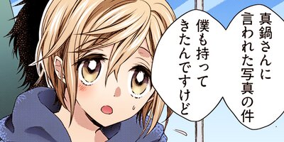 ����21cm�� ���å��� 29�ڥե륫�顼��