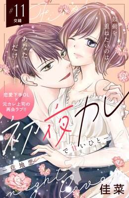 ���륫�� -���ϰ��ǴŤ��Ҥ�- ʬ���� 11��