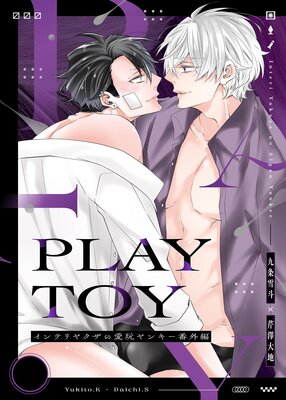 PLAY TOY ƥ䥯ΰ󥭡ֳ