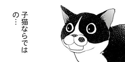 ����������İ���ʤ��� 29