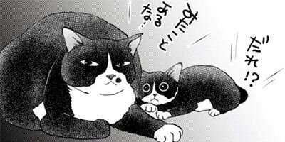 ����������İ���ʤ��� 30