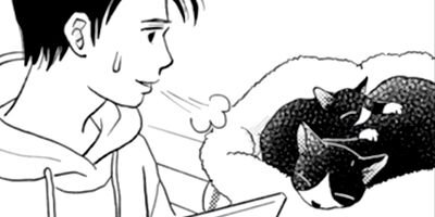 ����������İ���ʤ��� 36