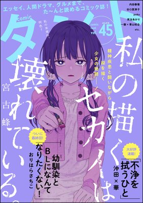 comic Vol.45