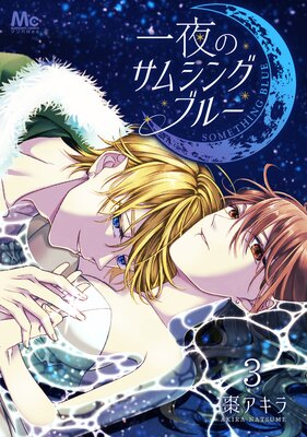 ����Υ��ॷ�󥰥֥롼 3