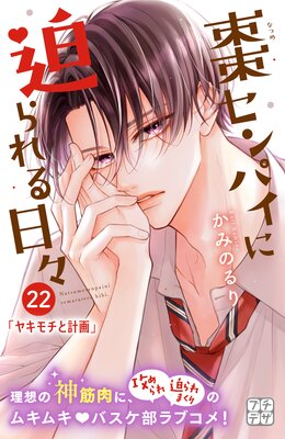 ܧ����ѥ������������� �ץ��ǥ� 22��