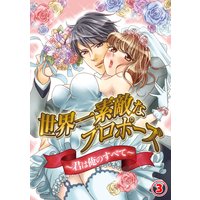 世界一素敵なプロポーズ〜君は俺のすべて〜3