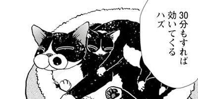 ����������İ���ʤ��� 47