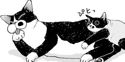 ����������İ���ʤ��� 49