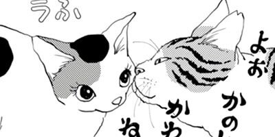 ����������İ���ʤ��� 52