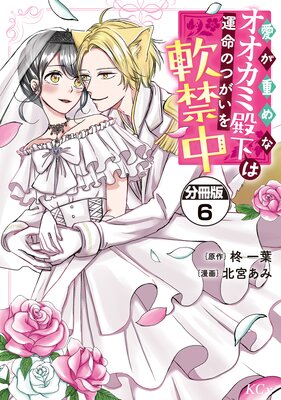 �����Ť�ʥ��������²��ϱ�̿�ΤĤ���������� ʬ���� 6��