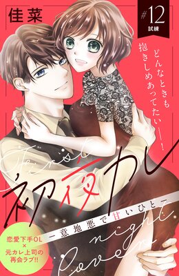 ���륫�� -���ϰ��ǴŤ��Ҥ�- ʬ���� 12��