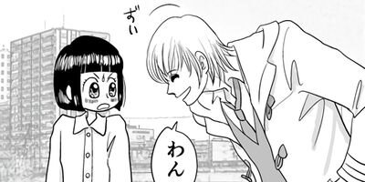 ��¼���� 5