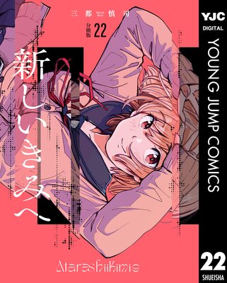 ���������ߤ� ʬ���� 22