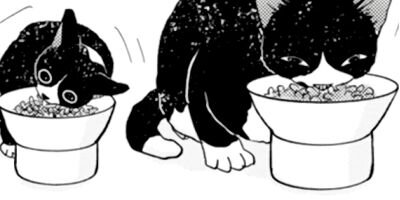 ����������İ���ʤ��� 57