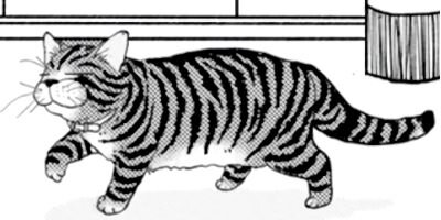 ����������İ���ʤ��� 58