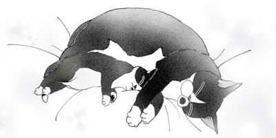 ����������İ���ʤ��� 61