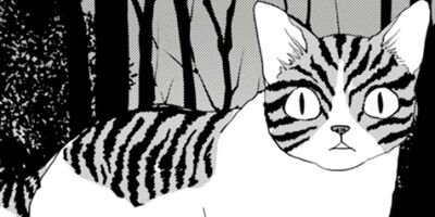 ����������İ���ʤ��� 62