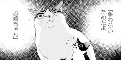 ����������İ���ʤ��� 64