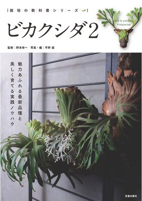 �ӥ�������