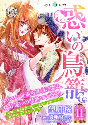 �Ǥ���Ļ�� ʬ���ǡΥۥ磻�ȥϡ��ȥ��ߥå��� 11��