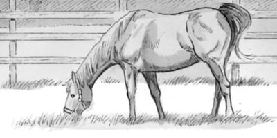 ���� ͥ�٤��������� 19