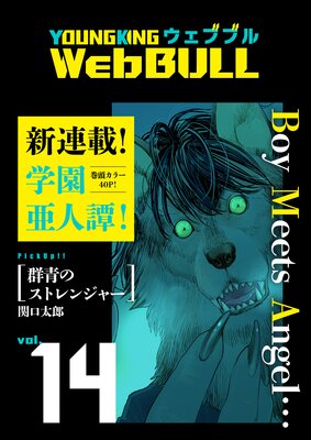 Web BULL14
