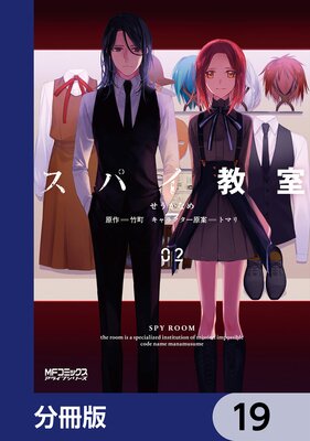 ���ѥ�������ʬ���ǡ� 19