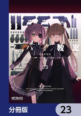 ���ѥ�������ʬ���ǡ� 23