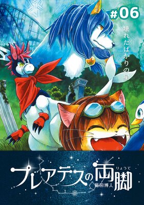 �ץ쥢�ǥ���ξ�� ��06 ���줿�Ф������