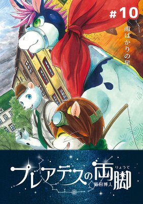 �ץ쥢�ǥ���ξ�� ��10 ���Ф������