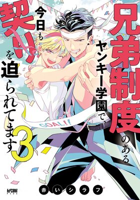 兄弟制度のあるヤンキー学園で、今日も契りを迫られてます【電子単行本】 3【Renta！限定ペーパー付】 |赤いシラフ |  まずは無料試し読み！Renta!(レンタ)