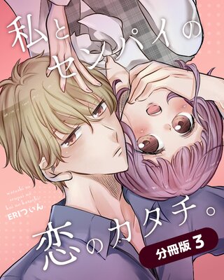 私とセンパイの恋のカタチ。【分冊版】(3)